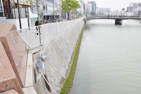 河川砂防および港湾・海岸 （河川部門） 那珂川護岸詳細設計業務