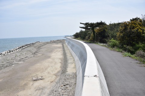 河川砂防および港湾・海岸 （港湾・海岸部門） 八津田海岸護岸詳細設計業務