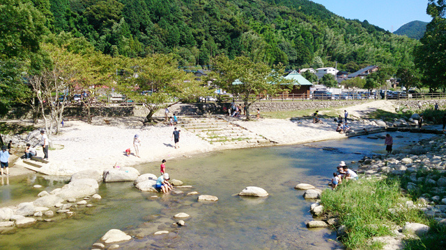 修景施設（河川公園） 那珂川中ノ島公園改修詳細設計業務委託